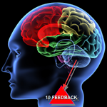 feedback